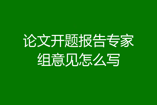 论文开题报告专家组意见怎么写