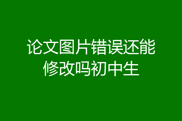 论文图片错误还能修改吗初中生