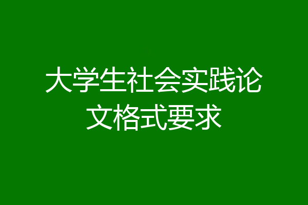 大学生社会实践论文格式要求