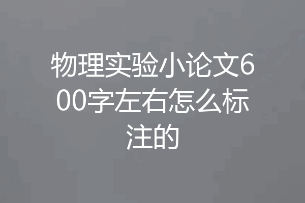 物理实验小论文600字左右怎么标注的