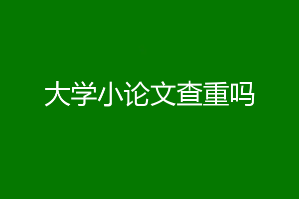 大学小论文查重吗