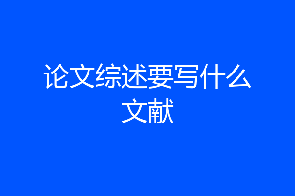 论文综述要写什么文献