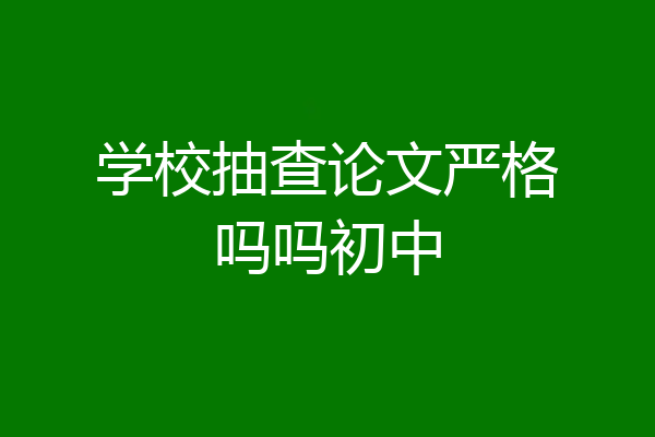 学校抽查论文严格吗吗初中