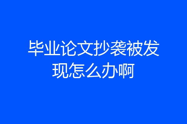 毕业论文抄袭被发现怎么办啊