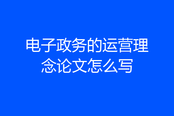 电子政务的运营理念论文怎么写