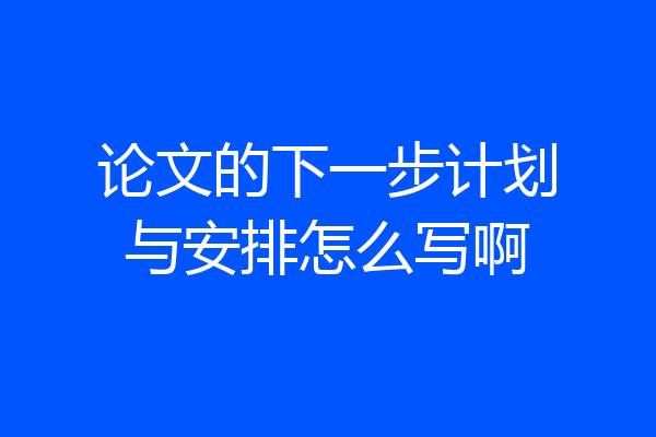 论文的下一步计划与安排怎么写啊