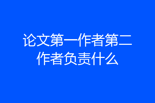 论文第一作者第二作者负责什么
