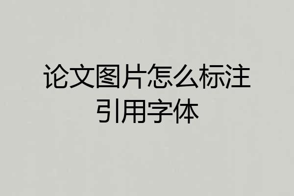 论文图片怎么标注引用字体