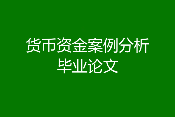 货币资金案例分析毕业论文