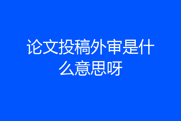 论文投稿外审是什么意思呀
