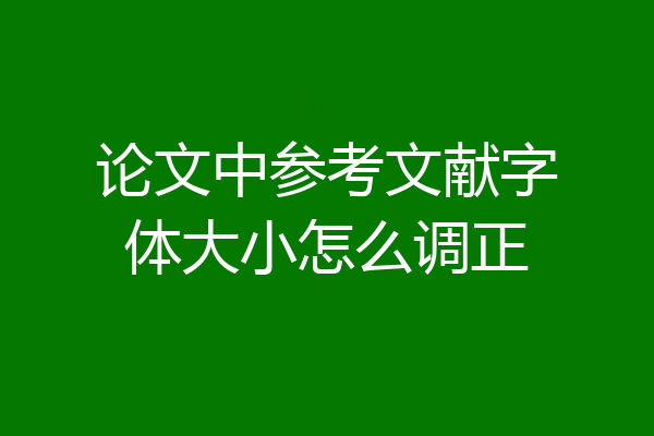 论文中参考文献字体大小怎么调正