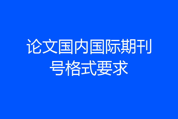 论文国内国际期刊号格式要求