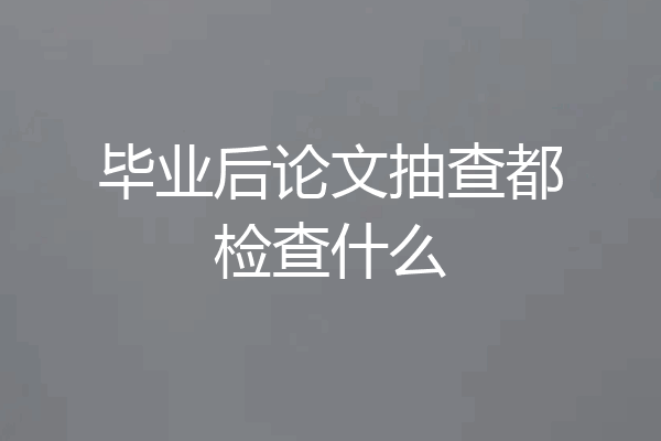 毕业后论文抽查都检查什么