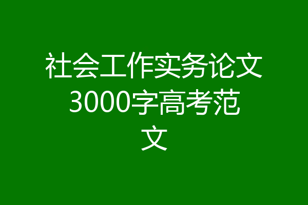社会工作实务论文3000字高考范文