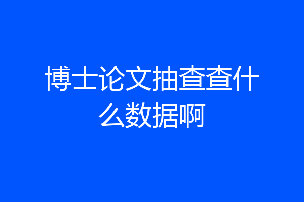 博士论文抽查查什么数据啊