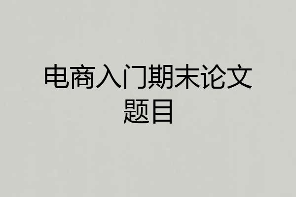 电商入门期末论文题目
