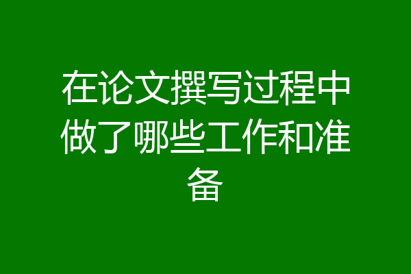 在论文撰写过程中做了哪些工作和准备