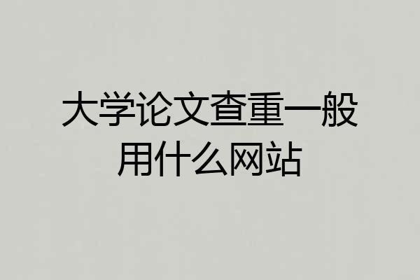 大学论文查重一般用什么网站