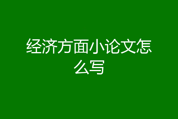 经济方面小论文怎么写