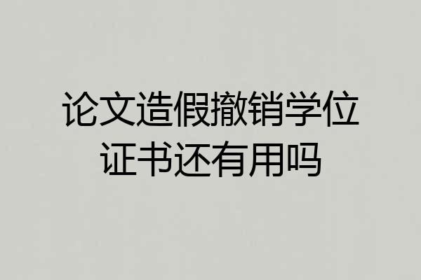 论文造假撤销学位证书还有用吗