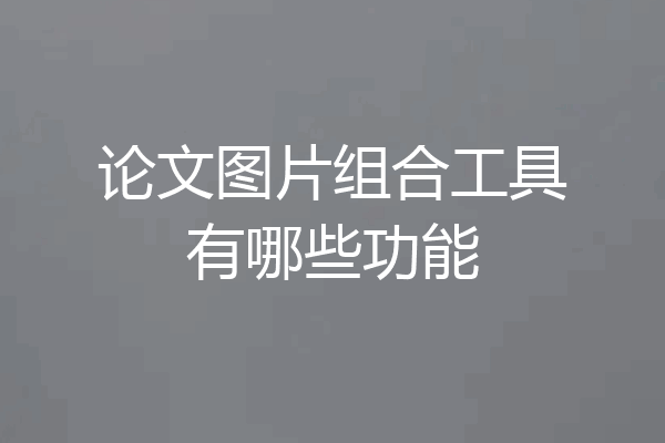论文图片组合工具有哪些功能