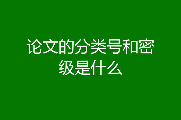 论文的分类号和密级是什么