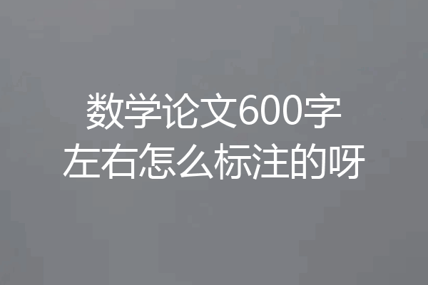 数学论文600字左右怎么标注的呀