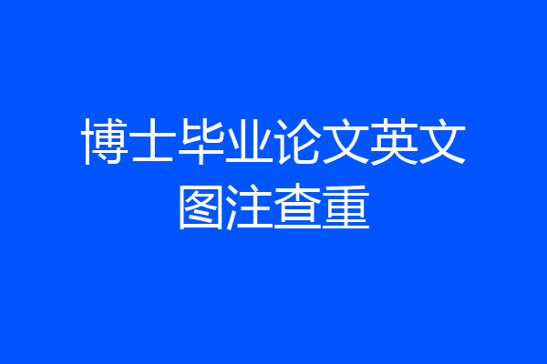博士毕业论文英文图注查重