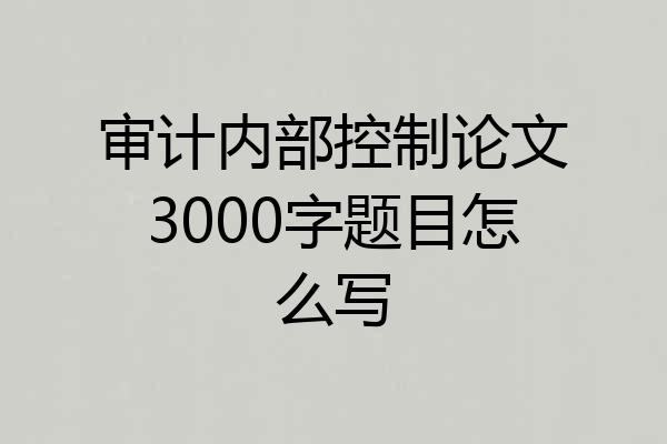 审计内部控制论文3000字题目怎么写