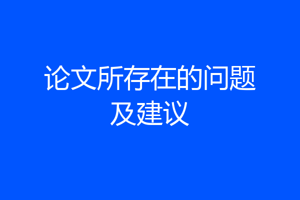 论文所存在的问题及建议