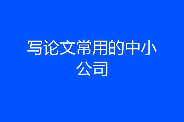 写论文常用的中小公司