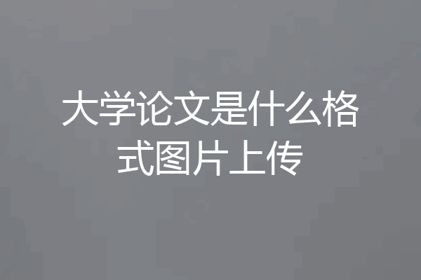 大学论文是什么格式图片上传