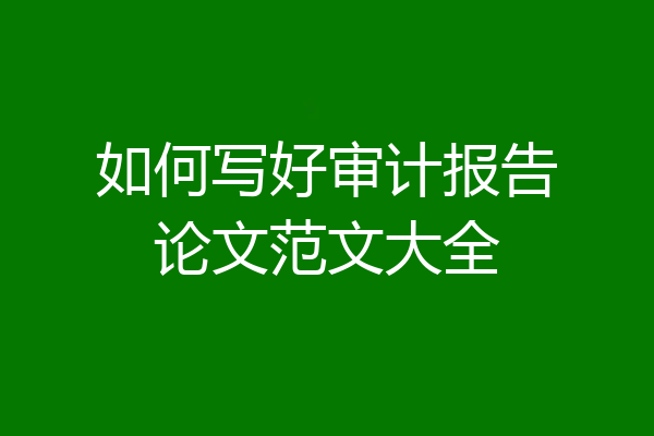 如何写好审计报告论文范文大全