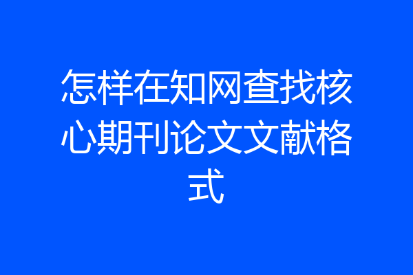 怎样在知网查找核心期刊论文文献格式