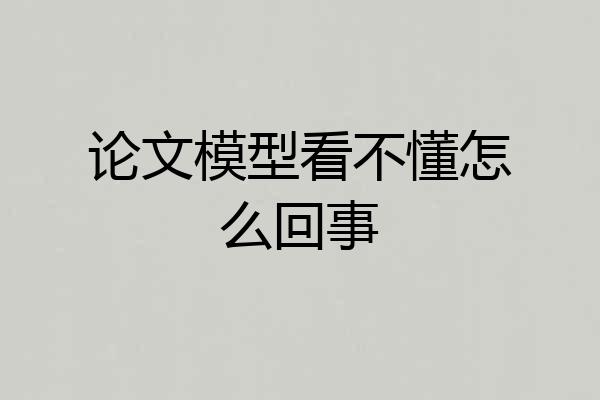 论文模型看不懂怎么回事