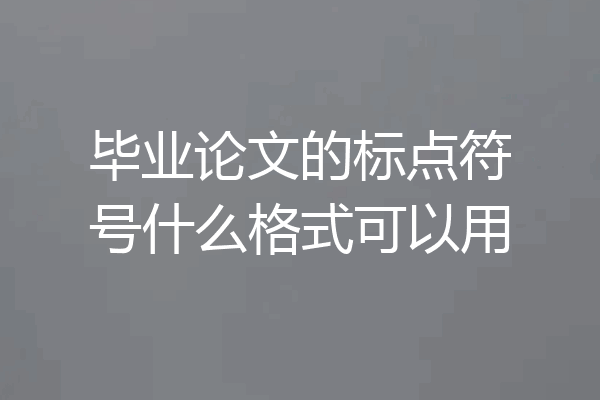 毕业论文的标点符号什么格式可以用