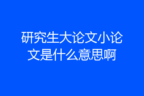研究生大论文小论文是什么意思啊