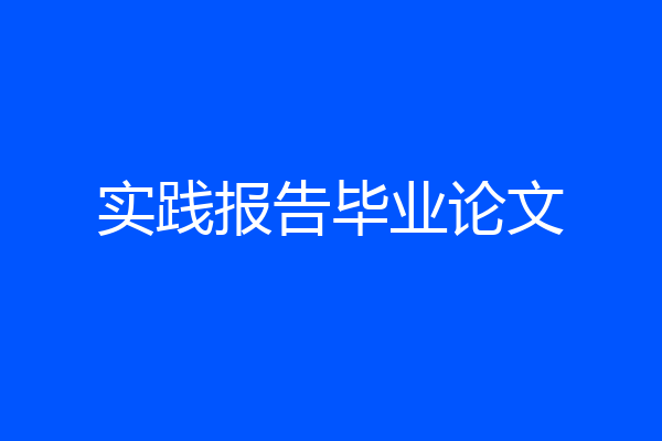 实践报告毕业论文