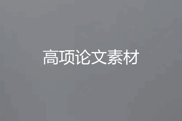 高项论文素材
