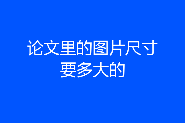 论文里的图片尺寸要多大的