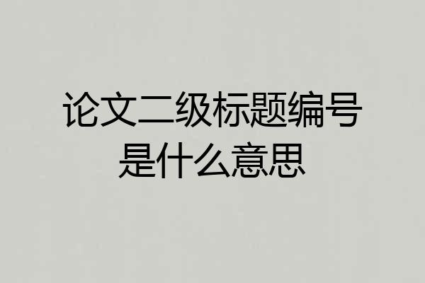 论文二级标题编号是什么意思