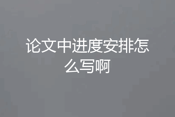 论文中进度安排怎么写啊