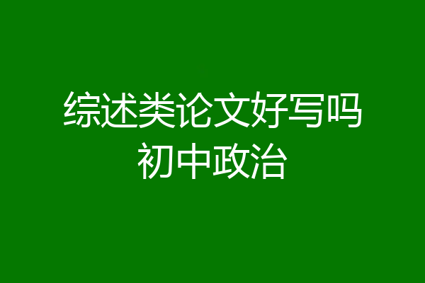 综述类论文好写吗初中政治