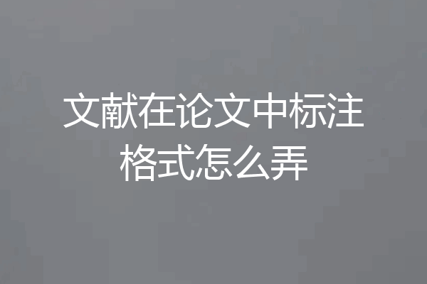 文献在论文中标注格式怎么弄