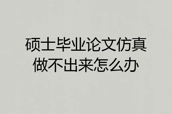 硕士毕业论文仿真做不出来怎么办
