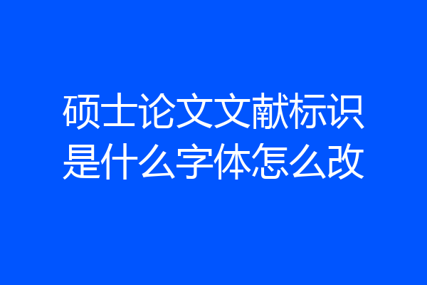 硕士论文文献标识是什么字体怎么改
