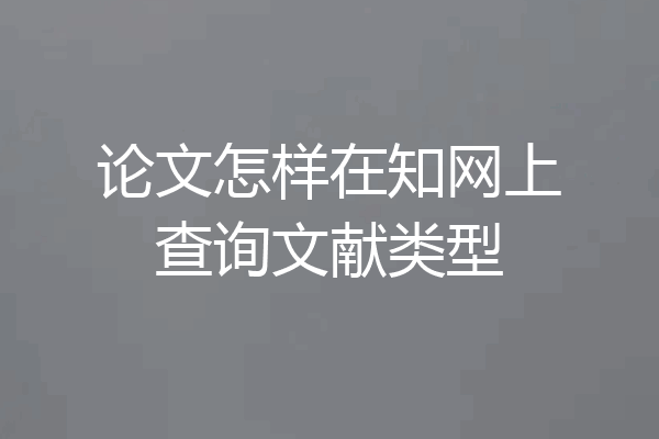 论文怎样在知网上查询文献类型