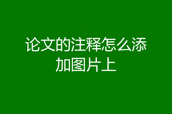 论文的注释怎么添加图片上