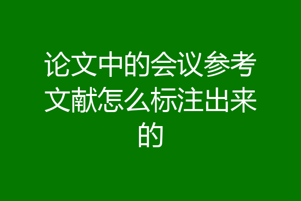 论文中的会议参考文献怎么标注出来的
