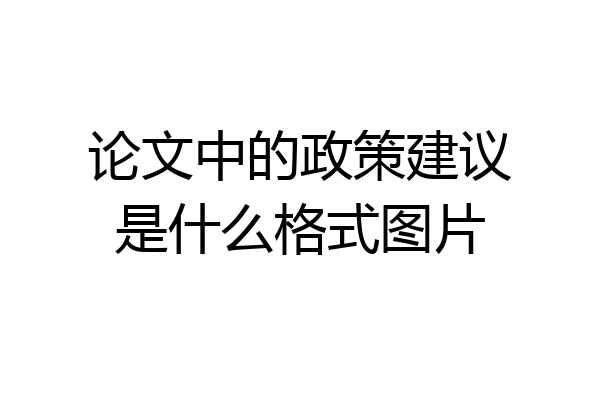 论文中的政策建议是什么格式图片